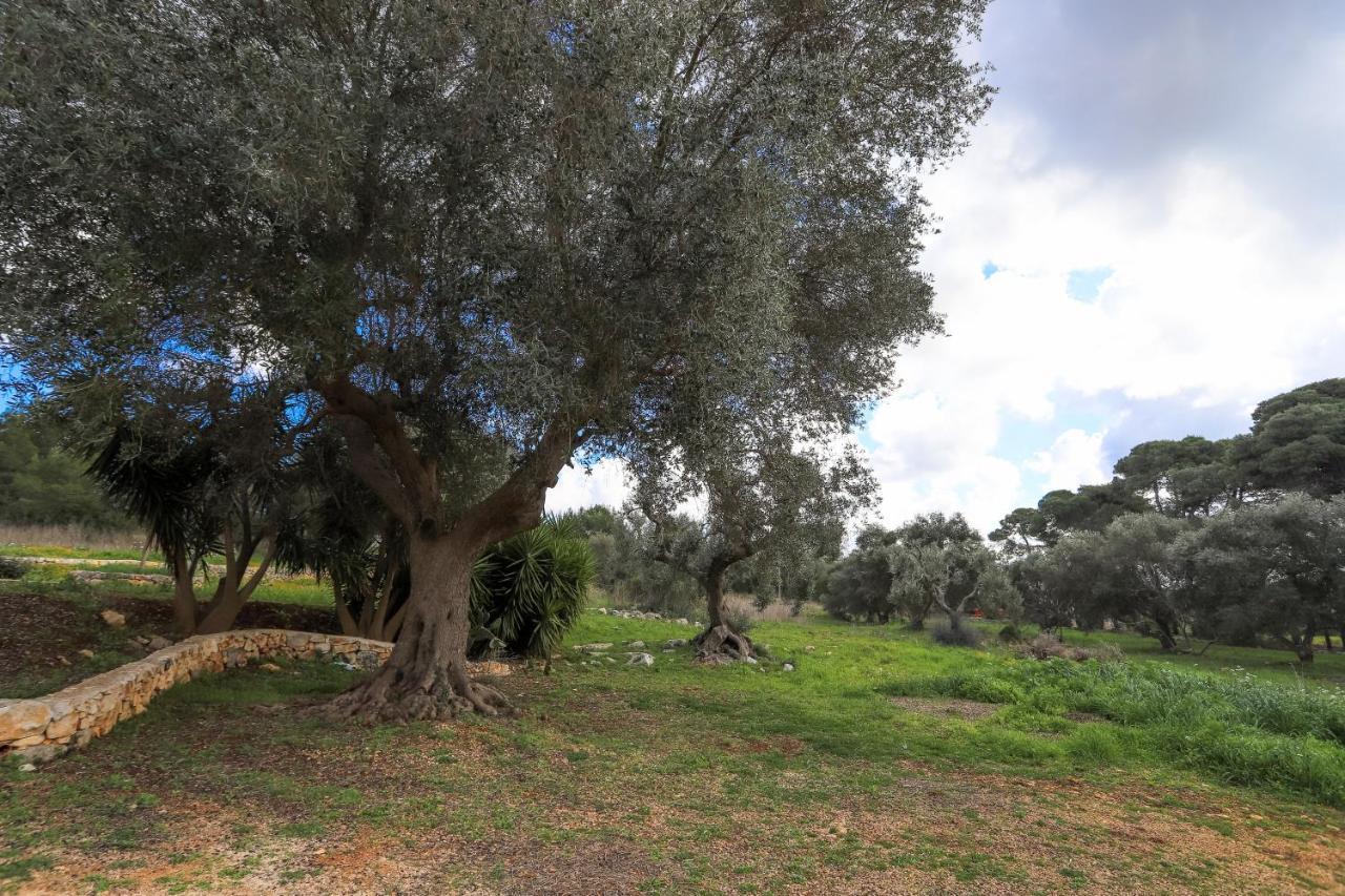 Casina Fumarola ξενώνας Ostuni Εξωτερικό φωτογραφία