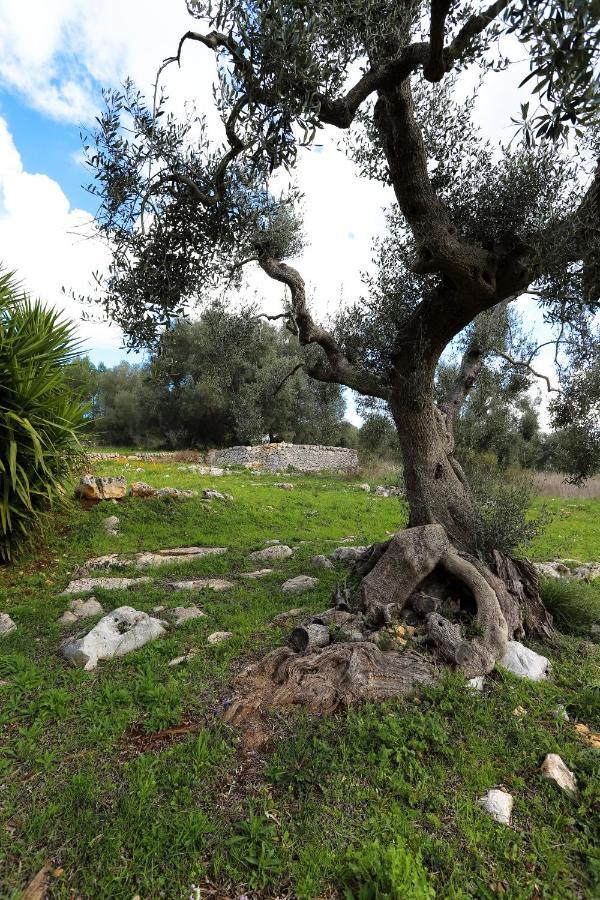 Casina Fumarola ξενώνας Ostuni Εξωτερικό φωτογραφία